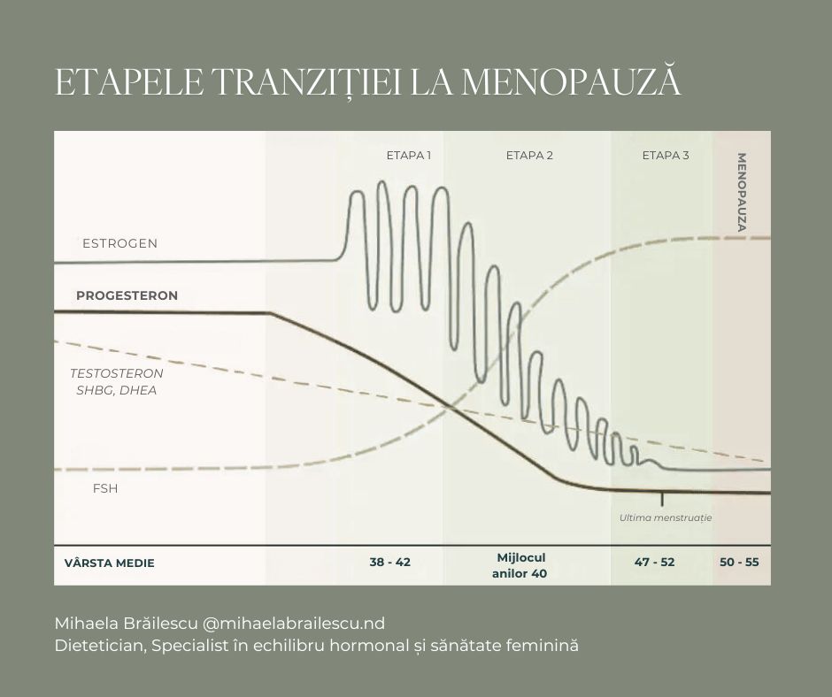 etapele tranzitiei la menopauza